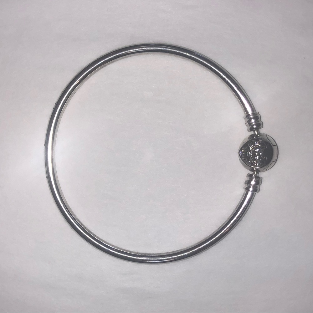 NWOT Pandora Heart of Winter Bangle